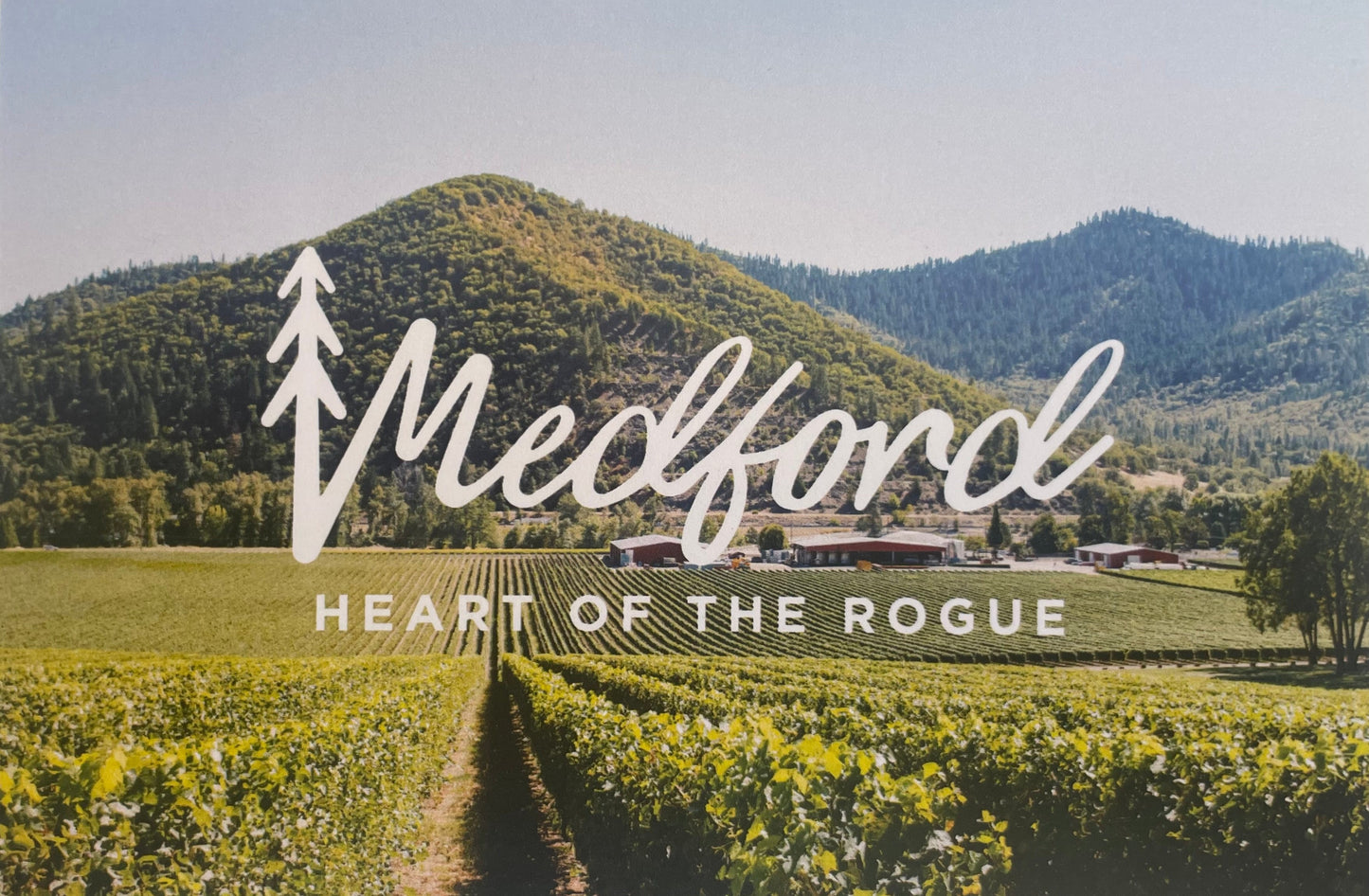 Southern Oregon Vineyard Postcard
