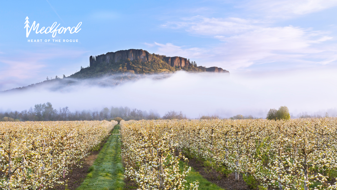 Table rock postcard